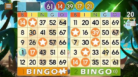 bingo plus.com|bingo gratuit.